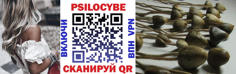 Псилоцибиновые грибы прущие грибы  darknet состав  Нижневартовск  наркотики 